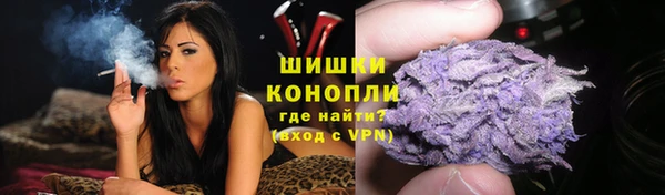 крисы Дмитров