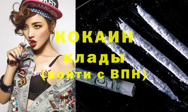 кокс Ельня