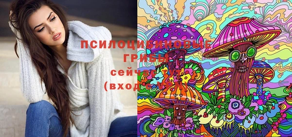 крисы Дмитров