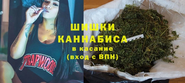 первитин Заводоуковск