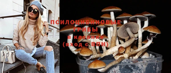 прущие грибы Дмитровск
