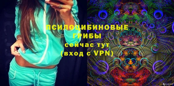 крисы Дмитров