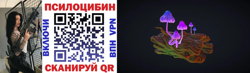 Купить где  Ленинск-Кузнецкий  Галлюциногенные грибы мухоморы 